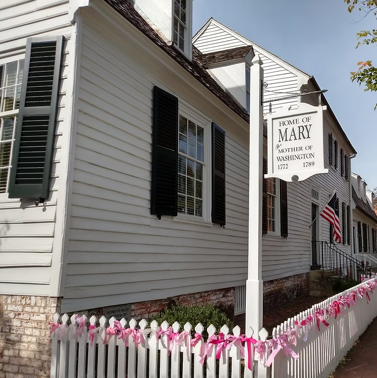 VA250 Summer Book Group - The Untold Story of America’s Revolutionary War in the South by Alan Pell Crawford